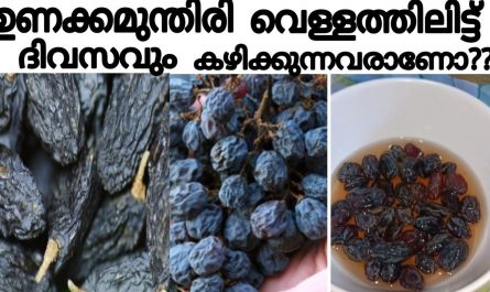 Black dried grapes benefits