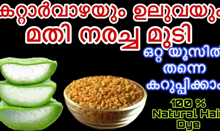 ഒറ്റ യൂസിൽ  തന്നെ മുടിയുടെ നരയെല്ലാം അപ്രത്യക്ഷമാക്കാം. ഇതിന്റെ ഗുണങ്ങൾ ആരും തിരിച്ചറിയാതെ പോകരുതേ…| Natural Hair Dye