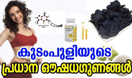 Medicinal Properties Of Kudampuli
