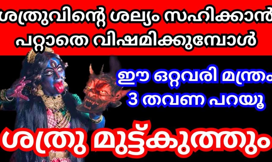 എത്ര വലിയ ശത്രു ദോഷത്തെയും ഇല്ലായ്മ ചെയ്യാൻ ഈ മന്ത്രം മൂന്നു തവണ ചൊല്ലൂ. ഇതുവഴി ഉണ്ടാകുന്ന നേട്ടങ്ങളെ കാണാതെ പോകരുതേ.