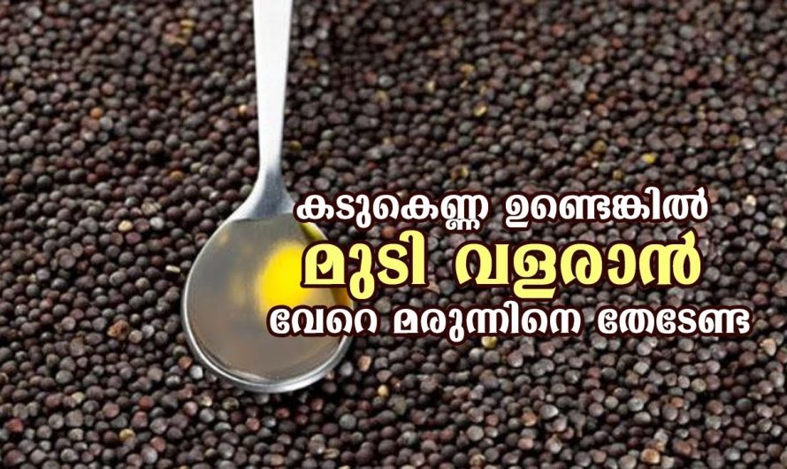 മുടിയുടെയും ചർമ്മത്തിന്റെയും സംരക്ഷണം ഉറപ്പാക്കുന്നതിന് ഇതിനപ്പുറം വേറെ മരുന്നില്ല. ഇതിന്റെ ഗുണങ്ങൾ ആരും തിരിച്ചറിയാതിരിക്കരുതേ…| Mustard oil benefits for brain