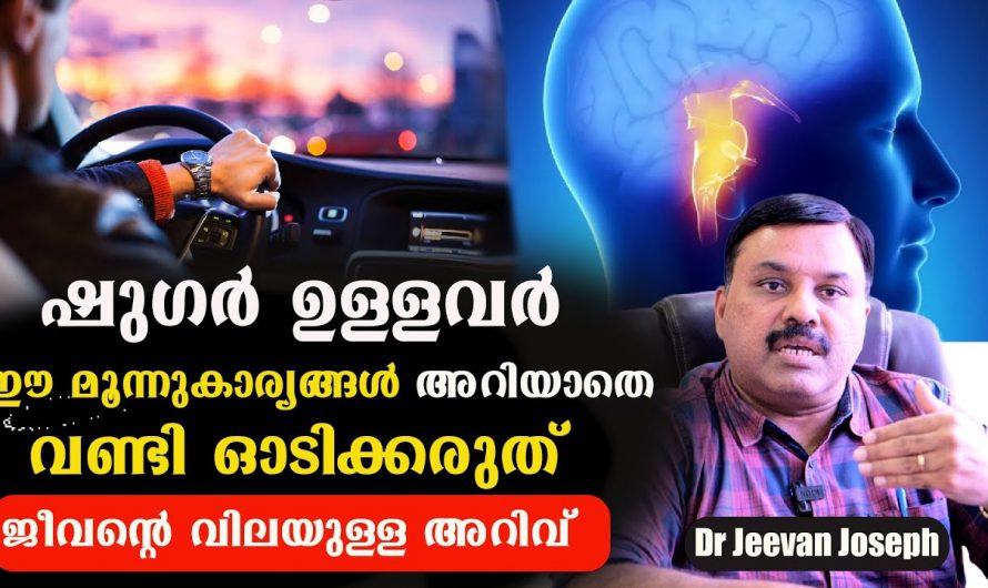 ഇത്തരം കാര്യങ്ങൾ ശ്രദ്ധിക്കാതെ ഷുഗർരോഗികൾ ഡ്രൈവ് ചെയ്യാൻ പാടില്ല. ഇത് തിരിച്ചറിയാതിരുന്നാൽ വലിയ വില കൊടുക്കേണ്ടി വരും…| Diabetes awareness