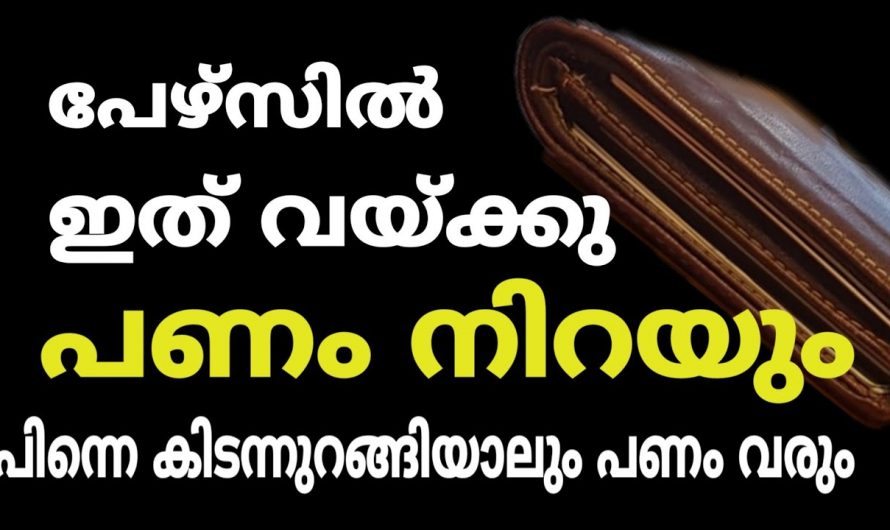 ഏതു പാവപ്പെട്ടവനും പണക്കാരൻ ആവാൻ ഇതിലും നല്ലൊരു മാർഗം വേറെയില്ല. ഇതിനെ ആരും നിസ്സാരമായി കാണരുതേ.