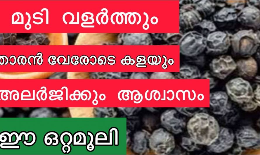 തലയിലെ പേൻ താരം ശല്യം എന്നന്നേക്കുമായി ഒഴിവാക്കാൻ ഇതൊരു അല്പം മതി. കണ്ടു നോക്കൂ.