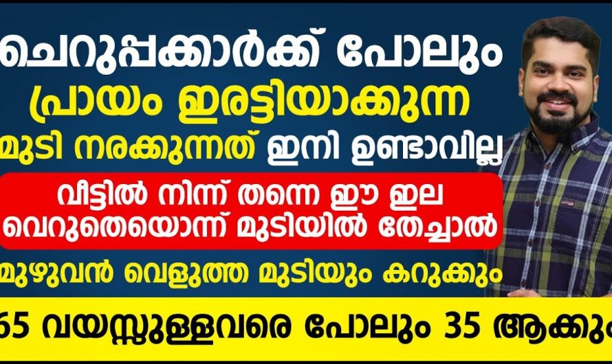 ചെറുപ്പക്കാരിലെ  അകാല നരയിൽ ഇനി ആശങ്ക വേണ്ട. പ്രതിവിധി ഇതാ ഇവിടെയുണ്ട്. ഇതാരും നിസ്സാരമായി കാണരുതേ…| Natural gray hair remedy