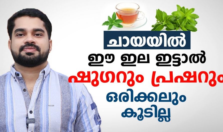 ചായക്ക് പഞ്ചസാരയുടെ പോലെ തന്നെ മധുരം ലഭിക്കാൻ ഈയില ഉപയോഗിക്കൂ. ഇതിന്റെ  ഗുണങ്ങൾ ആരും കാണാതെ പോകരുതേ…| Sugar raise blood pressure