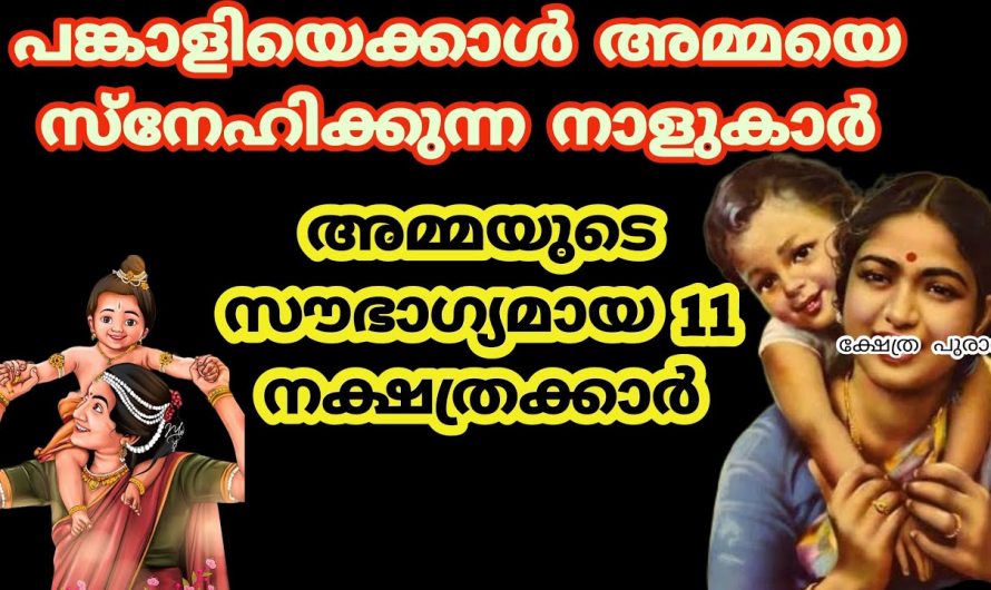 ഏതു പ്രതിസന്ധിയിലും അമ്മയുടെ സ്നേഹത്തെ മുറുകെ പിടിക്കുന്ന ഈ നക്ഷത്രക്കാരെ ഇതുവരെയും അറിയാതെ പോയല്ലോ ഭഗവാനേ.