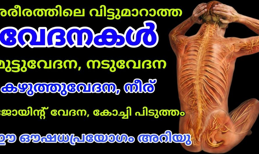 ശാരീരിക വേദനകളെ ഇനി ഞൊടിയിടയിൽ മാറ്റാം. ഇതിന്റെ ഗുണങ്ങളെ ആരും നിസ്സാരമായി കാണരുതേ.