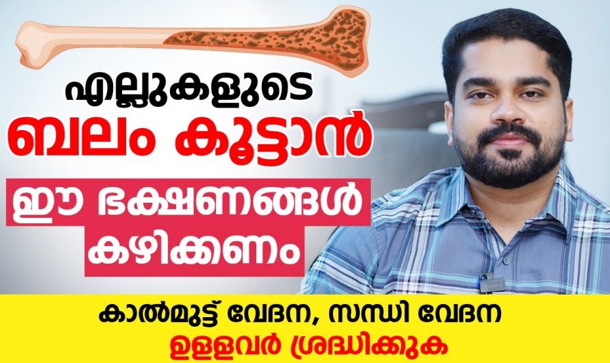 എല്ലുകൾക്ക് ബലം നൽകാൻ കാൽസ്യം മാത്രം പോരാ. ഇത്തരം കാര്യങ്ങൾ ഇതുവരെയും അറിയാതെ പോയല്ലോ…| Best 3 Foods for strong bones