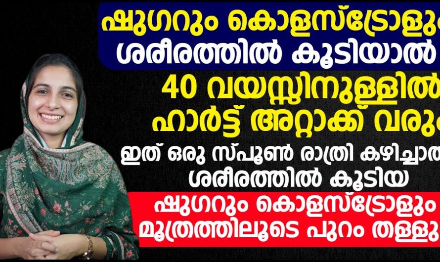 ഷുഗർ കുറഞ്ഞിട്ടും ഷുഗർ മൂലം ഉണ്ടാകുന്ന അസ്വസ്ഥതകൾ കുറയാതെ കാണുന്നുണ്ടോ? എങ്കിൽ ഇതാരും അറിയാതെ പോകരുതേ.