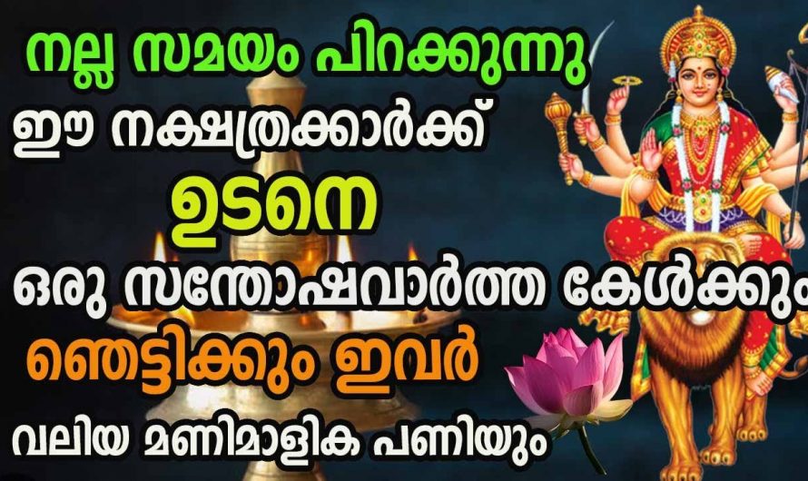 കഷ്ടപ്പാടുകളുടെയും ബുദ്ധിമുട്ടുകളുടെയും നടുവിൽ നിന്ന്  ഉയർത്തെഴുന്നേറ്റുകൊണ്ട് നേട്ടങ്ങൾ സ്വന്തമാക്കിയിട്ടുള്ള ഈ നക്ഷത്രക്കാരെ ഇതുവരെയും അറിയാതെ പോയല്ലോ ഈശ്വരാ.