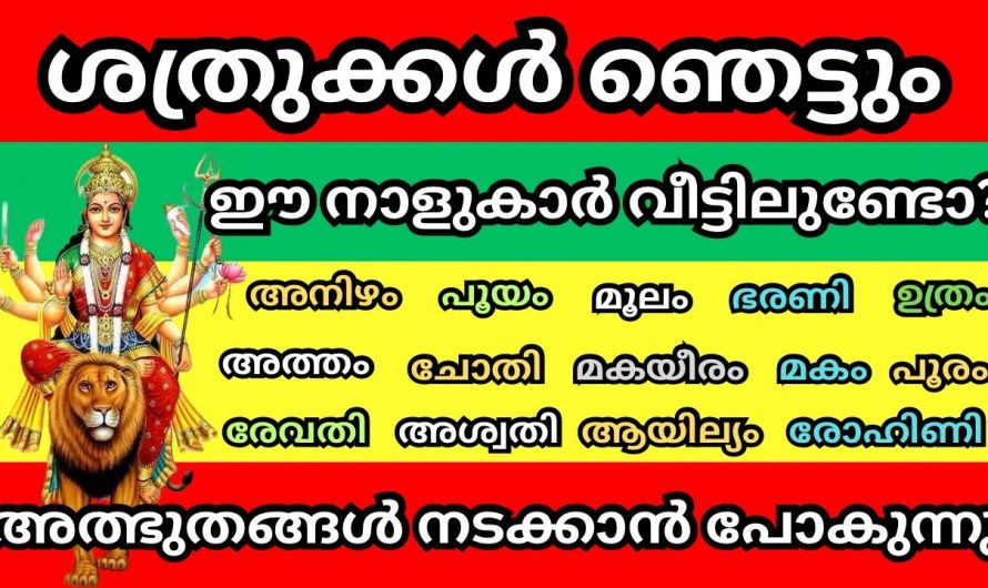 സ്വപ്നതുല്യമായ കാര്യങ്ങൾ ജീവിതത്തിൽ  ജീവിതത്തിൽ നേടിയെടുക്കാൻ കഴിവുള്ള ഈ നക്ഷത്രക്കാരെ ഇതുവരെയും അറിയാതെ പോയല്ലോ ഈശ്വരാ.