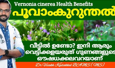 Poovamkurunthal Use and Health Benefits