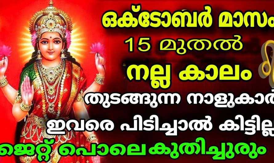 ജീവിതത്തിൽ കുതിച്ചുയരാൻ കഴിയുന്ന ഈ നക്ഷത്രക്കാരെ ആരും തിരിച്ചറിയാതെ പോകരുതേ.