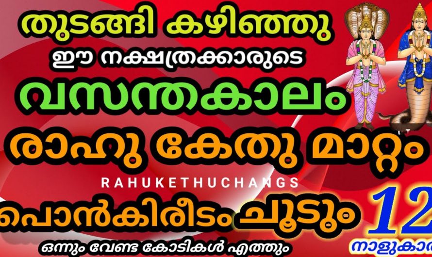 ഭാഗ്യങ്ങൾ മാത്രം ജീവിതത്തിൽ പ്രാപിക്കാൻ കഴിവുള്ള ഈ നക്ഷത്രക്കാരെ കുറിച്ച് ആരും അറിയാതെ പോകരുതേ.