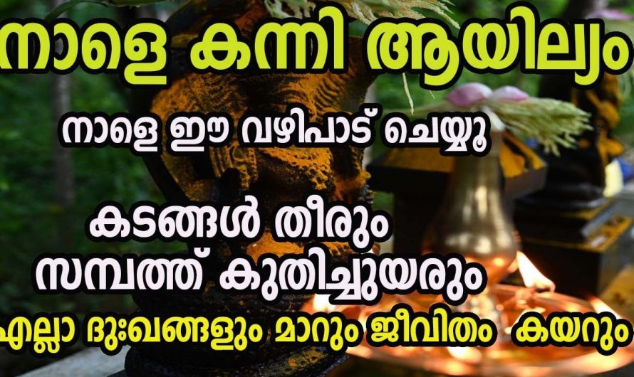 വിട്ടുമാറാത്ത രോഗ ദുരിതങ്ങളും കടബാധ്യതകളും നിങ്ങളെ ബുദ്ധിമുട്ടിക്കുന്നുണ്ടോ?  എങ്കിൽ ഈ വഴിപാടിനെ കുറിച്ച് ആരും അറിയാതെ പോകരുതേ.