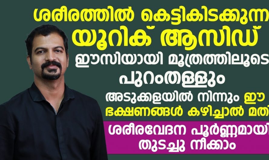 വർദ്ധിച്ചുവരുന്ന യൂറിക്കാസിഡിനെ കുറയ്ക്കാൻ കഴിക്കേണ്ട ഇത്തരം ഭക്ഷണങ്ങളെ കുറിച്ച് ഇതുവരെയും അറിയാതെ പോയല്ലോ. കണ്ടു നോക്കൂ…| Uric acid control food