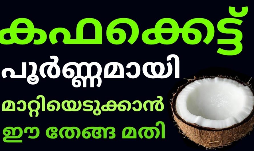 വിട്ടുമാറാത്ത കഫക്കെട്ട് മൂലം വലയുന്നവരാണോ നിങ്ങൾ? എങ്കിൽ ഇത്തരം മാർഗങ്ങൾ ആരും നിസ്സാരമായി കാണരുതേ.