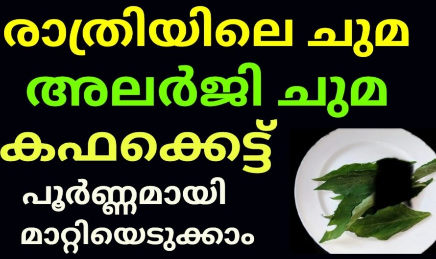 വിട്ടുമാറാത്ത ചുമയും കഫക്കെട്ടും മാറ്റുവാൻ ഇനി ആന്റിബയോട്ടിക്കുകളെ ആശ്രയിക്കേണ്ട. കണ്ടു നോക്കൂ…| Cough Remodies Malayalam