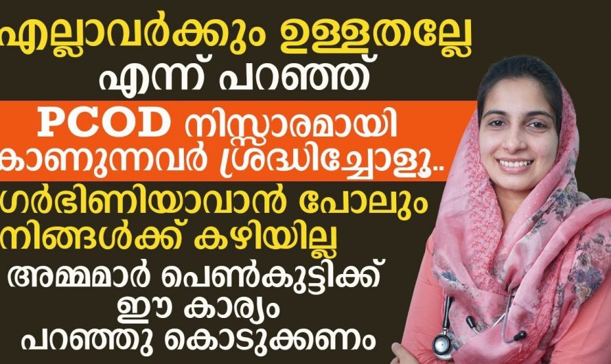 പിസിഒഡിയെ മറികടക്കാൻ കഴിക്കേണ്ട ഭക്ഷണങ്ങളെ കുറിച്ച് ഇതുവരെയും അറിയാതെ പോയല്ലോ. കണ്ടു നോക്കൂ.