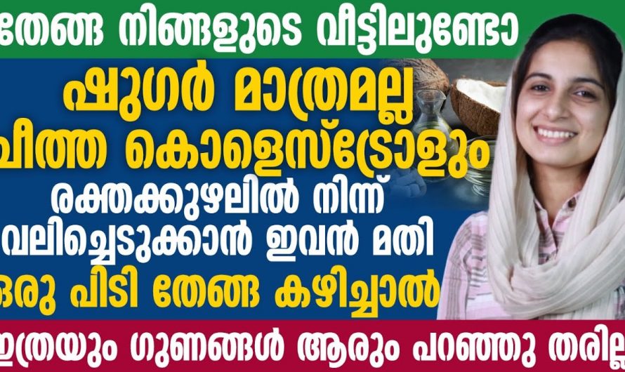 ശരീരത്തിൽ ഏറ്റവും അധികം ഷുഗർ കൊണ്ടുവരുന്ന ഇത്തരം ഭക്ഷണങ്ങളെ ആരും തിരിച്ചറിയാതെ പോകരുതേ