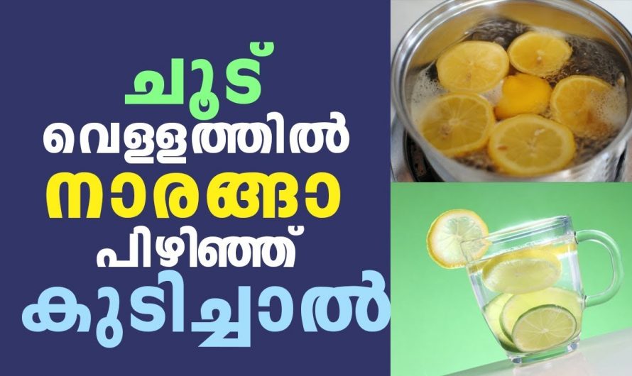 നമ്മുടെ ശരീരത്തിലെ രോഗപ്രതിരോധ സംവിധാനത്തെ ഉയർത്താനും അണുബാധകളെ ചെറുക്കുവാനും ഈയൊരു ഡ്രിങ്ക് മതി. കണ്ടു നോക്കൂ.