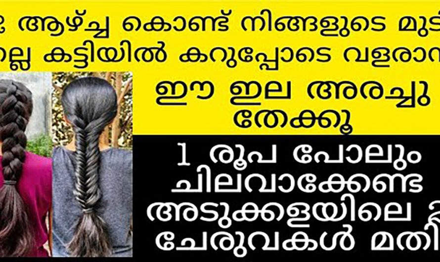 അനിയന്ത്രിതമായ മുടികൊഴിച്ചിൽ ആണോ നിങ്ങളുടെ പ്രശ്നം? എങ്കിൽ ഇതാരും അറിയാതെ പോകരുതേ.