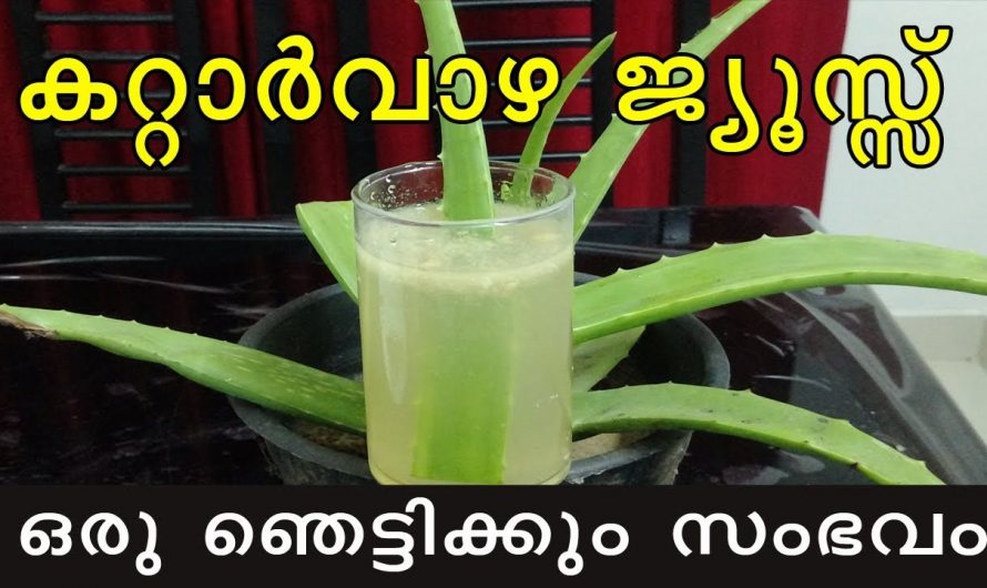 ദഹനക്കേട് പരിഹരിക്കാനും ശാരീരിക വേദനകളെ മറികടക്കാനും ഇതിനുള്ള കഴിവ് മറ്റൊന്നിനുമില്ല. ഇതാരും കാണാതെ പോകല്ലേ.