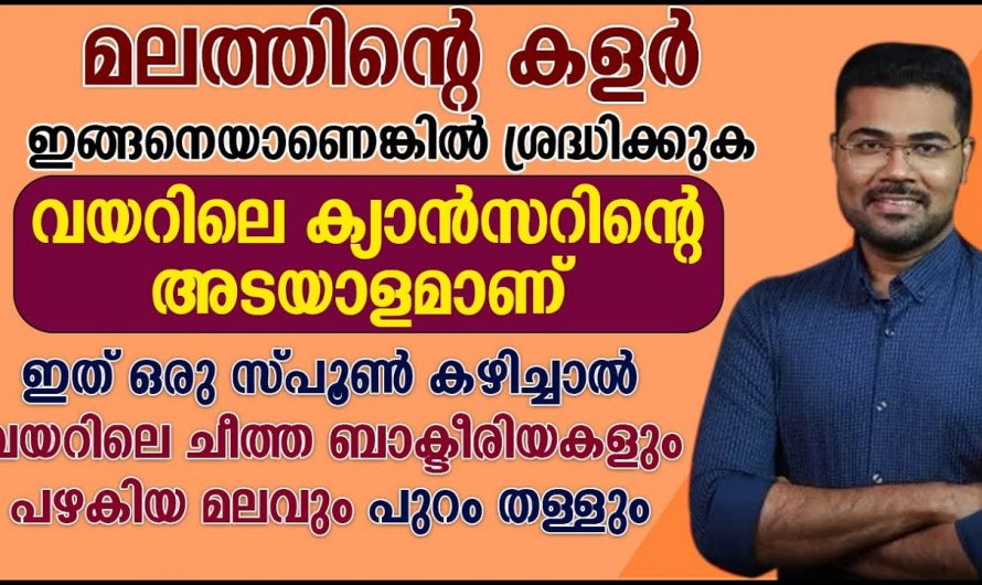 വയറിലെ ചീത്ത ബാക്ടീരിയകളെ മാറ്റി നല്ല ബാക്ടീരിയയെ കൊണ്ടുവരാൻ ഇത് മാത്രം മതി. കണ്ടു നോക്കൂ.