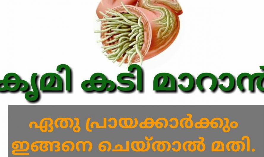 എത്ര വലിയ വിരശല്യത്തെയും പെട്ടെന്ന് തന്നെ അകറ്റുവാൻ ഇത് മാത്രം മതി. ഇതാരും നിസ്സാരമായി കാണരുതേ.