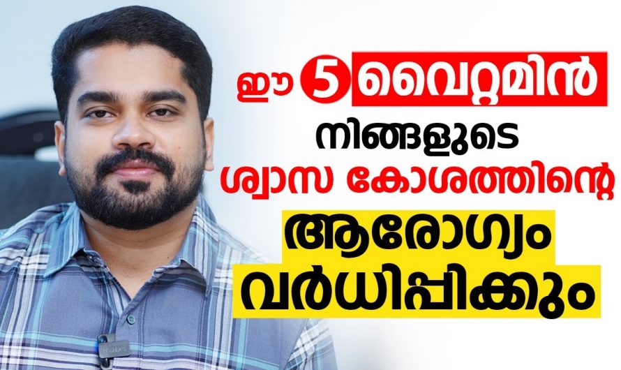 ശ്വാസകോശത്തിന്റെ ആരോഗ്യം ഇരട്ടിയാക്കാൻ കഴിക്കേണ്ട ഈ വൈറ്റമിനുകളെ കുറിച്ച് ഇതുവരെയും അറിയാതെ പോയല്ലോ. കണ്ടു നോക്കൂ.