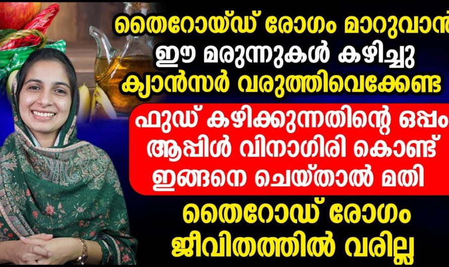 തൈറോയ്ഡ് രോഗം ജീവിതത്തിൽ ഒരിക്കലും വരാതിരിക്കാൻ ഇത്തരം കാര്യങ്ങൾ ആരും അറിയാതെ പോകരുതേ…| Thyroid symptoms and treatment