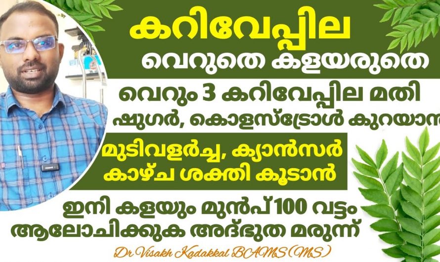 കൊളസ്ട്രോൾ മുതൽ ക്യാൻസറുകളെ വരെ തടയാൻ ഈ ഒരു ഇല മതി. ഇതിന്റെ ഗുണങ്ങൾ ആരും നിസ്സാരമായി കാണരുതേ.