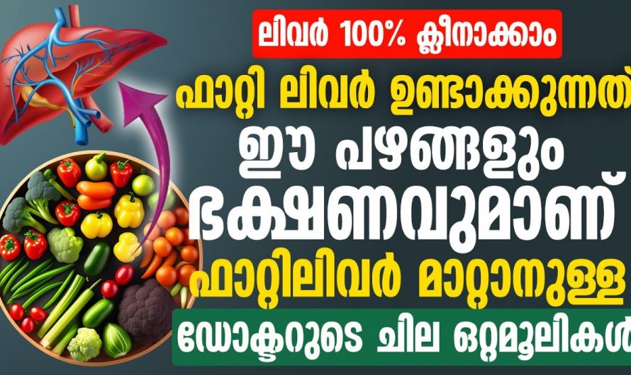 കരളിലെ ഫാറ്റുകളെ തൂത്തു വൃത്തിയാക്കാൻ കഴിക്കേണ്ട ഭക്ഷണങ്ങളെക്കുറിച്ച് അറിയാതെ പോകല്ലേ…| Fatty liver malayalam details