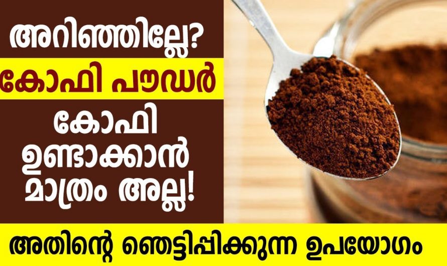 മുടിയിഴകൾ സ്മൂത്തും സിൽക്കിയും ആക്കുന്നതിന് ഇതു മാത്രം മതി. ഇതിന്റെ ഗുണങ്ങൾ ആരും കാണാതെ പോകല്ലേ