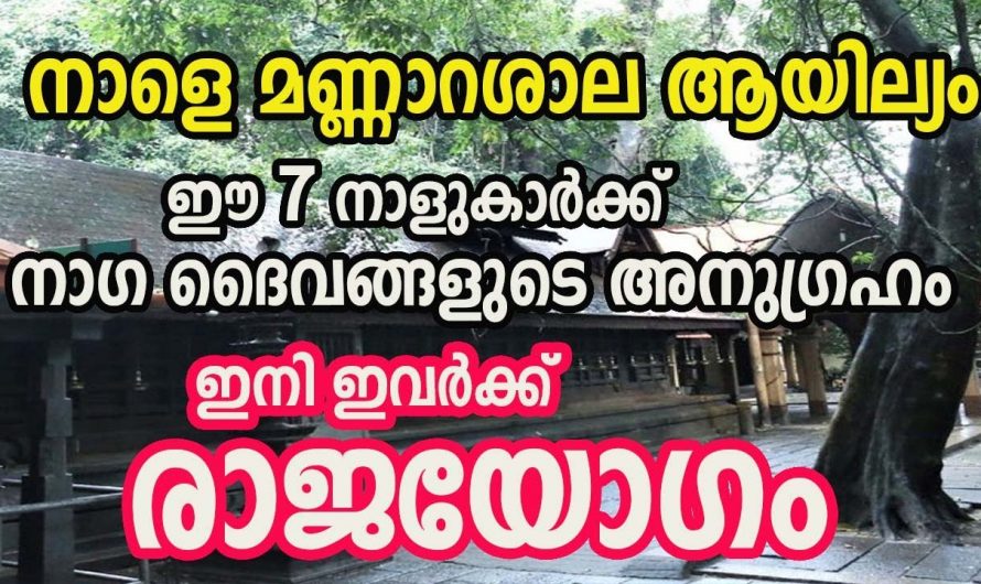 തുലാം മാസത്തിലെ ആയില്യത്തോടുകൂടി രക്ഷ പ്രാപിക്കാൻ പോകുന്ന ഈ നക്ഷത്രക്കാരെ ആരും തിരിച്ചറിയാതെ പോകരുതേ.