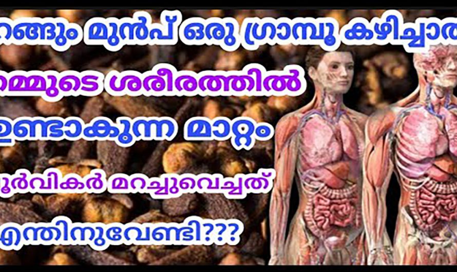 സന്ധിവേദനകളെയും നിർവീക്കങ്ങളെയും തടയാൻ ഇതൊരു അല്പം മതി. ഇതിന്റെ ഗുണങ്ങൾ ആരും അറിയാതെ പോകരുതേ…| Cloves benefits and side effects