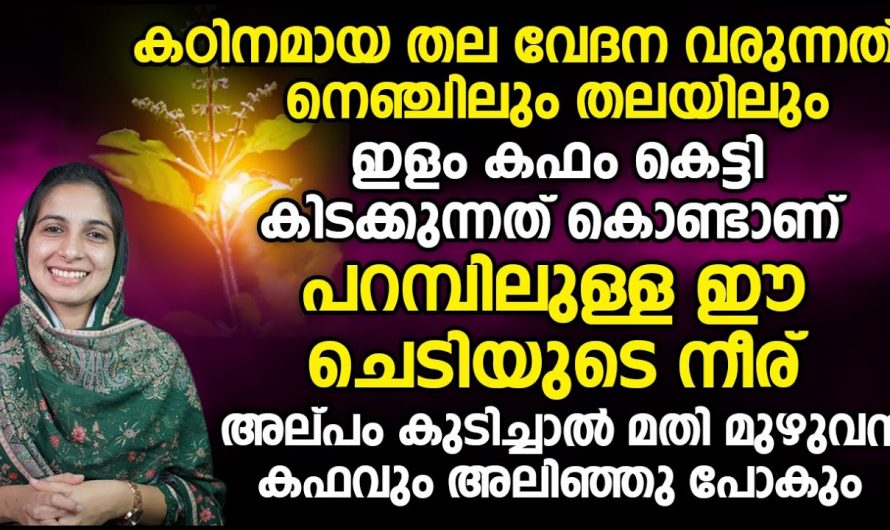 വിട്ടുമാറാത്ത പനി ജലദോഷം കഫക്കെട്ട് അനുഭവിക്കുന്നവരാണോ നിങ്ങൾ? എങ്കിൽ ഇത്തരം കാര്യങ്ങൾ ആരും നിസ്സാരമായി തള്ളിക്കളയരുതേ.