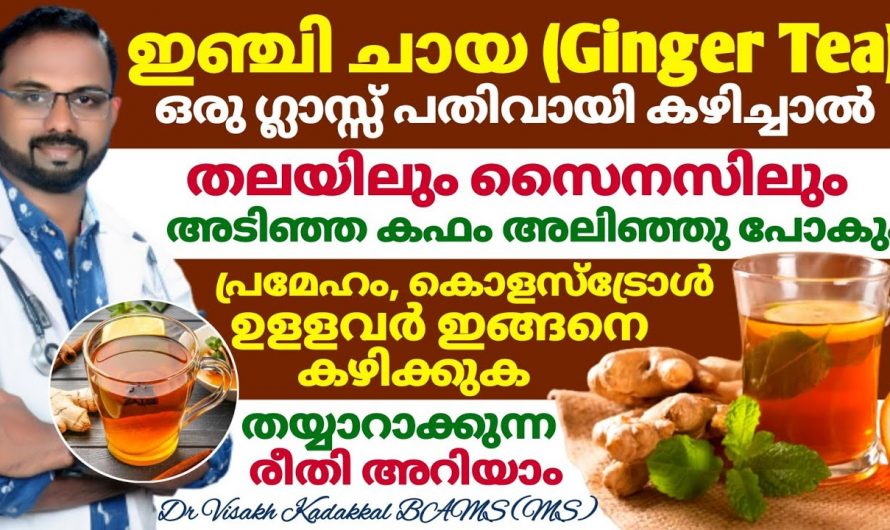 ഈ ചായ ദിവസവും ശീലമാക്കൂ കൊളസ്ട്രോൾ ഷുഗർ എന്നിവ സ്വിച്ചിട്ട പോലെ ഇല്ലാതാക്കാം. കണ്ടു നോക്കൂ.