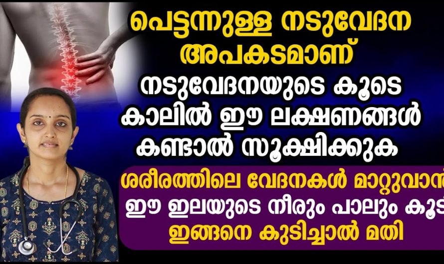 നടുവേദനകളുടെ കാരണവും അവ പരിഹരിക്കുന്നതിന് വേണ്ട ഇത്തരം മാർഗങ്ങളും ആരും നിസ്സാരമായി കാണരുതേ.