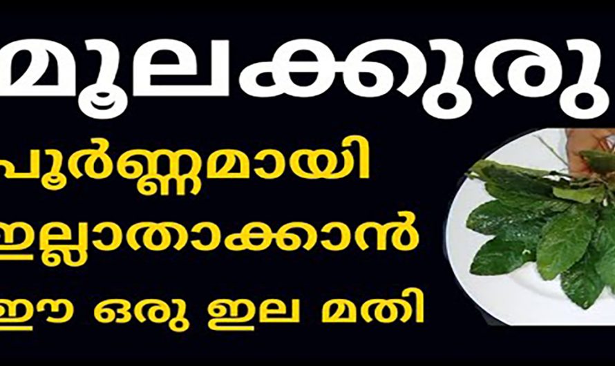 പൈൽസ് നിങ്ങളിലെ ഒരു പ്രശ്നമാണോ?  എങ്കിൽ പ്രതിവിധി ദാ ഇവിടെയുണ്ട് കണ്ടു നോക്കൂ.