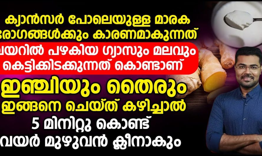 വയർ മുഴുവൻ  ക്ലീൻ ആകാൻ  ഇതു മാത്രം മതി. ഇതാരും അറിയാതെ പോകരുതേ.