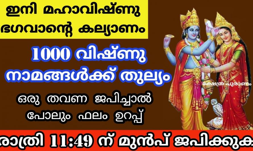 തുളസി വിവാഹ ദിനത്തിൽ ജപിക്കേണ്ട മന്ത്രങ്ങളെ കുറിച്ച് ഇതുവരെയും അറിയാതെ പോയല്ലോ ഈശ്വരാ