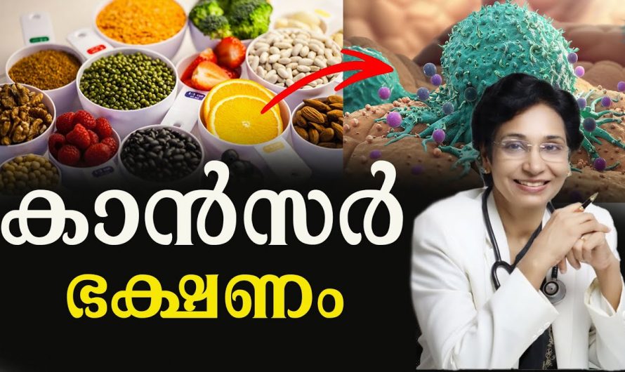 കഴിക്കുന്ന ഭക്ഷണങ്ങളിൽ ക്യാൻസറുകൾക്ക് സാധ്യതകൾ കൂട്ടുന്ന ഭക്ഷണങ്ങളെക്കുറിച്ച് ഇതുവരെയും അറിയാതെ പോയല്ലോ. കണ്ടു നോക്കൂ.