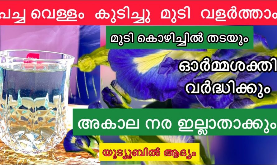 മുടികൊഴിച്ചിൽ മാറ്റുവാനും മുടികൾ ഇടതൂർന്ന് വളരുവാനും ഈയൊരു ഡ്രിങ്ക് മതി. കണ്ടു നോക്കൂ…| Hair growth tips at home