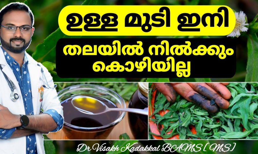 ഒരൊറ്റ മുടി പോലും കൊഴിയാതെ മുടികൾ തഴച്ച് വളരുവാൻ ഈ ഒരു എണ്ണ മതി. കണ്ടു നോക്കൂ.