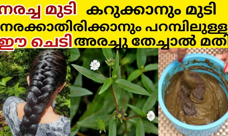 ഹെയർ ഡൈകളെ ആശ്രയിക്കാതെ തന്നെ മുടിയിഴകൾ കറുപ്പിച്ചെടുക്കാം. കണ്ടു നോക്കൂ…| Hair dye natural at home