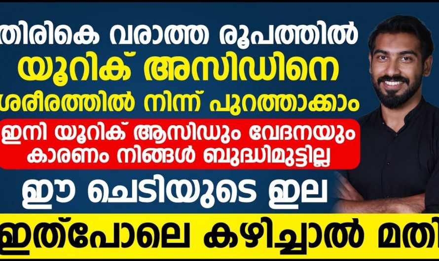 യൂറിക്കാസിഡ് മൂലം ഉണ്ടാകുന്ന വേദനകളെയും മറ്റും അകറ്റുവാൻ ഇതാരും കാണാതെ പോകരുതേ.