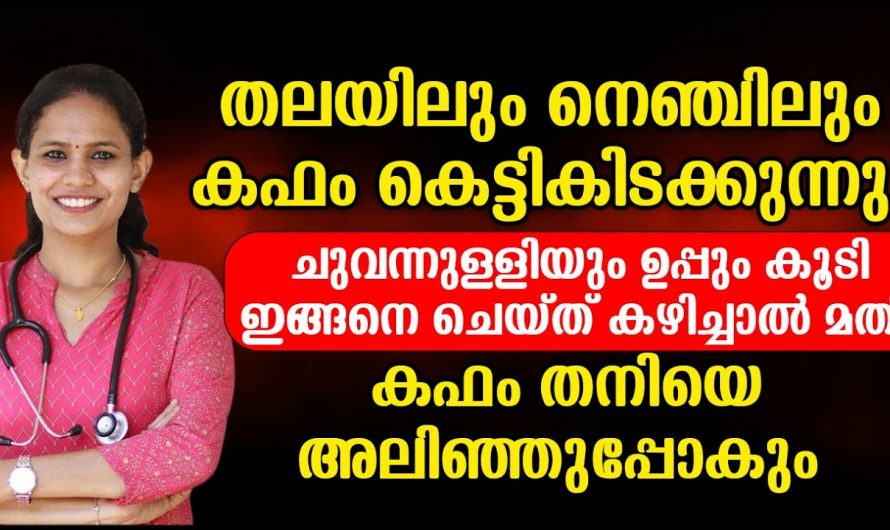 കെട്ടിക്കിടക്കുന്ന കഫം തനിയെ അലിഞ്ഞു പോകാനായി ഇത്തരം കാര്യങ്ങൾ ആരും കാണാതെ പോകരുതേ.