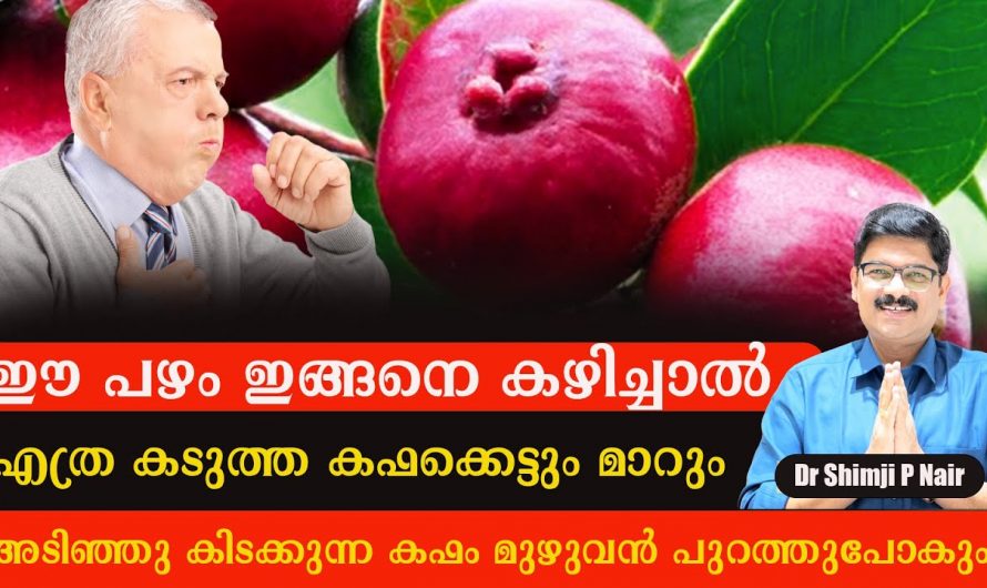 ശ്വാസകോശ സംബന്ധമായ രോഗങ്ങളെ മറികടക്കാൻ കഴിയുന്ന ഇത്തരം ഔഷധങ്ങളെ കുറിച്ച് ഇതുവരെയും അറിയാതെ പോയല്ലോ. കണ്ടു നോക്കൂ.